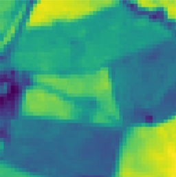 Context-self contrastive pretraining for crop type semantic segmentation