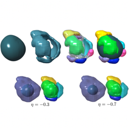 A Scalable Fluctuating Distance Field